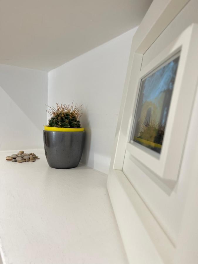 רומא Green Home מראה חיצוני תמונה